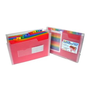 COD. 15.000 - ARCHIVADOR BEAUTONE ACORDEON 42154 SPECTRA A4